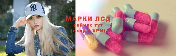 хмурый Арсеньев