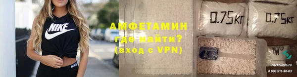 хмурый Арсеньев