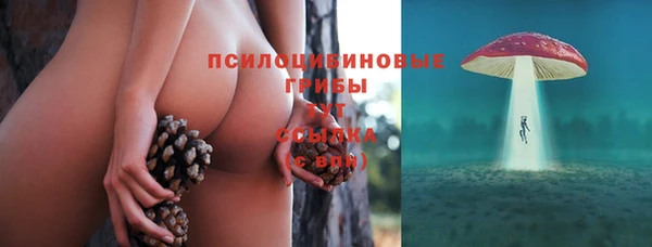 хмурый Арсеньев