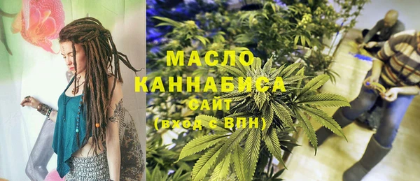 хмурый Арсеньев