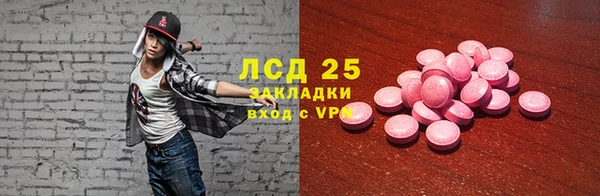 хмурый Арсеньев